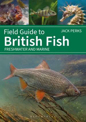 Field Guide to British Fish de Jack Perks