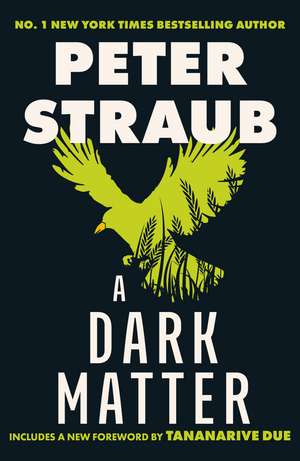 A Dark Matter: the acclaimed novel from the co-author of The Talisman, Black House and Other Worlds Than These de Peter Straub