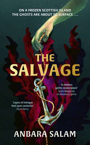 The Salvage: ‘A gothic tale with a powerful sense of place and an eerie atmosphere’ Sunday Times de Anbara Salam