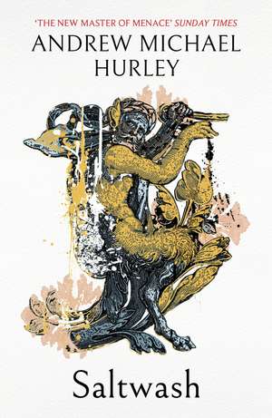 Saltwash: The chilling new novel from the 'master of menace' de Andrew Michael Hurley