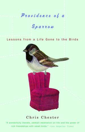 Providence of a Sparrow: Lessons from a Life Gone to the Birds de Chris Chester