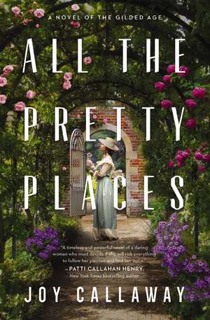 All the Pretty Places: A Novel of the Gilded Age de Joy Callaway