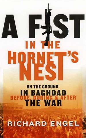 A Fist In The Hornet's Nest: On the Ground in Baghdad Before, During and After the War