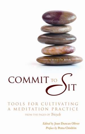 Commit to Sit: Tools for Cultivating a Meditation Practice de James Shaheen