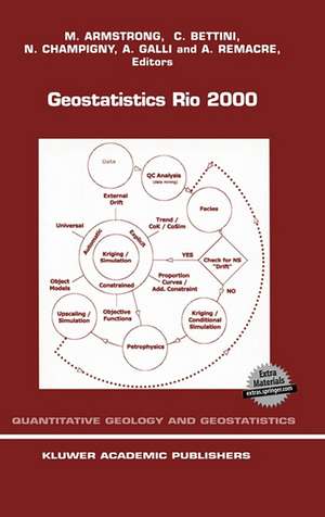 Geostatistics Rio 2000: Proceedings of the Geostatistics Sessions of the 31st International Geological Congress, Rio de Janeiro, Brazil, 6–17 August 2000 de M. Armstrong