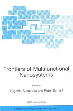 Frontiers of Multifunctional Nanosystems de Eugenia V. Buzaneva