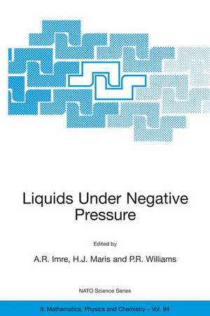 Liquids Under Negative Pressure: Proceedings of the NATO Advanced Research Workshop of Liquids Under Negative Pressure Budapest, Hungary 23–25 February 2002 de A.R. Imre