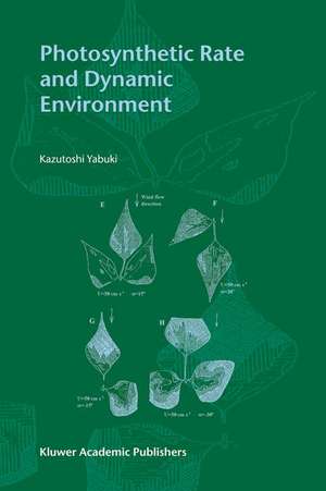 Photosynthetic Rate and Dynamic Environment de Kazutoshi Yabuki