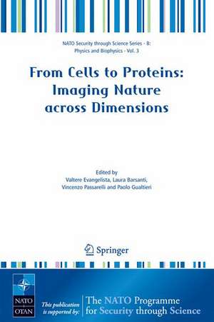 From Cells to Proteins: Imaging Nature across Dimensions: Proceedings of the NATO Advanced Study Institute, held in Pisa, Italy, 12-23 September 2004 de Valtere Evangelista