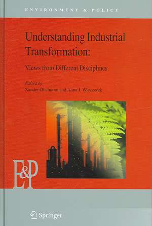 Understanding Industrial Transformation: Views from Different Disciplines de Xander Olsthoorn