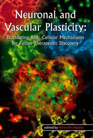 Neuronal and Vascular Plasticity: Elucidating Basic Cellular Mechanisms for Future Therapeutic Discovery de Kenneth Maiese