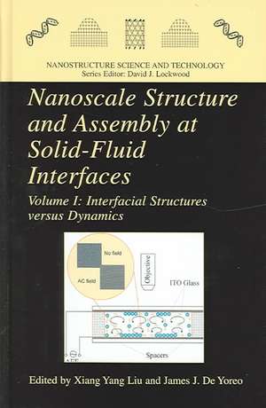 Nanoscale Structure and Assembly at Solid-Fluid Interfaces: Volume I: Interfacial Structures versus Dynamics, Volume II: Assembly in Hybrid and Biological Systems de James J. De Yoreo