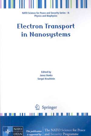 Electron Transport in Nanosystems de Janez Bonca