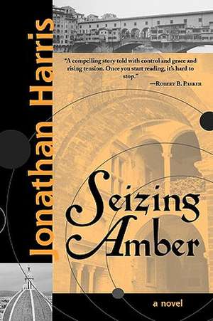 Seizing Amber de Jonathan Harris