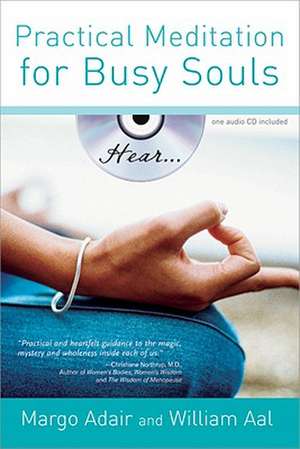 Practical Meditation for Busy Souls de Margo Adair