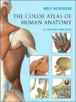 The Color Atlas of Human Anatomy de G. Wolf-Heidegger