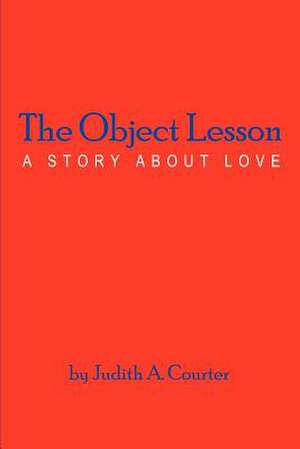The Object Lesson de Judith A. Courter