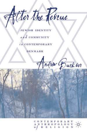 After the Rescue: Jewish Identity and Community in Contemporary Denmark de A. Buckser