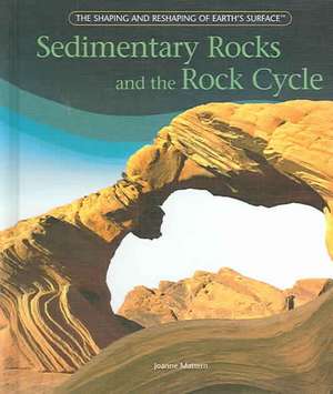 Sedimentary Rocks and the Rock Cycle de Joanne Mattern