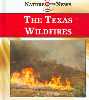 The Texas Wildfires de Therese M. Shea