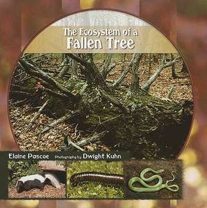 The Ecosystem of a Fallen Tree de Elaine Pascoe