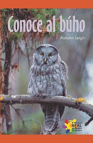 Conoce Al Buho de Autumn Leigh