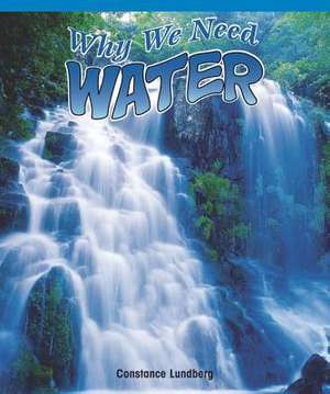 Why We Need Water de Constance Lundberg