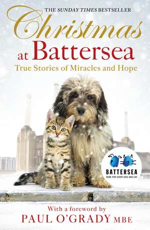 Christmas at Battersea: True Stories of Miracles and Hope de Battersea Dogs & Cats Home