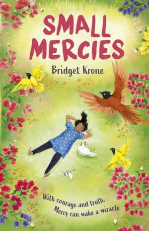 Small Mercies de Bridget Krone