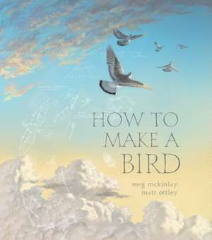 How to Make a Bird de Meg Mckinlay