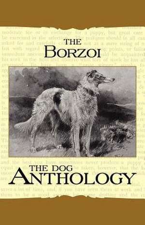 Borzoi de various