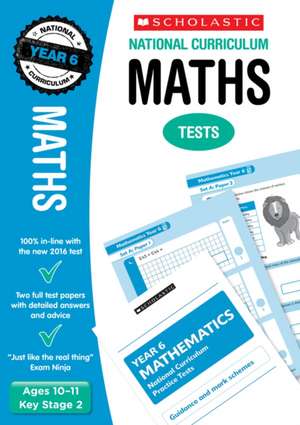 Maths Test - Year 6 de Paul Hollin