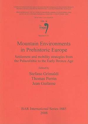 Mountain Environments in Prehistoric Europe: Settlement and Mobility Strategies from the Palaeolithic to the Early Bronze Age de Stefano Grimaldi