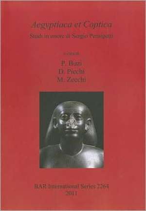 Aegyptiaca Et Coptica: Studi In Onore Di Sergio Pernigotti de Paola Buzi