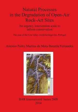 Natural Processes in the Degradation of Open-Air Rock-Art Sites: An Urgency Intervention Scale to Inform Conservation de Antonio Pedro Da Mota Batarda Fernandes