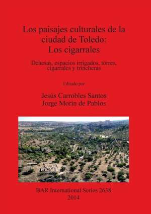 Los paisajes culturales de la ciudad de Toledo de Jesús Carrobles Santos