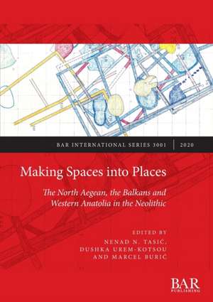 Making Spaces into Places de Nenad N. Tasi¿