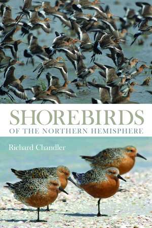 Shorebirds of the Northern Hemisphere de Richard Chandler