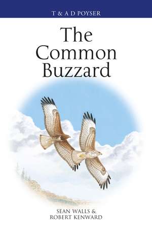 The Common Buzzard de Sean Walls