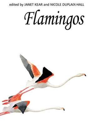 Flamingos de Janet Kear