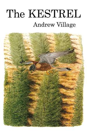 The Kestrel de Andrew Village