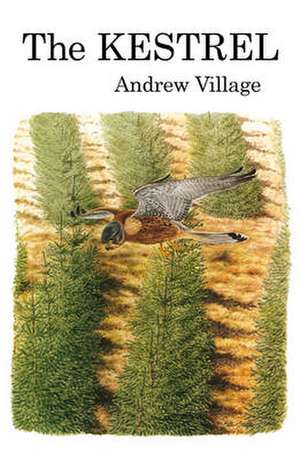 Village, A: The Kestrel de Andrew Village