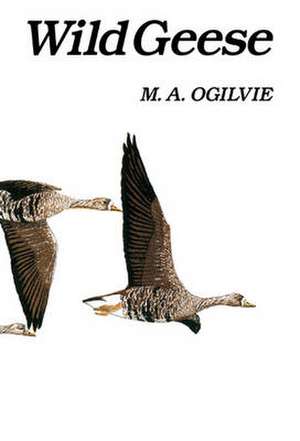 Wild Geese de M. A. Ogilvie