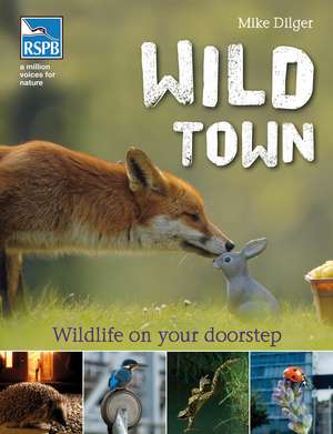 Wild Town de Mike Dilger