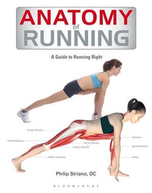 Anatomy of Running: A Guide to Running Right