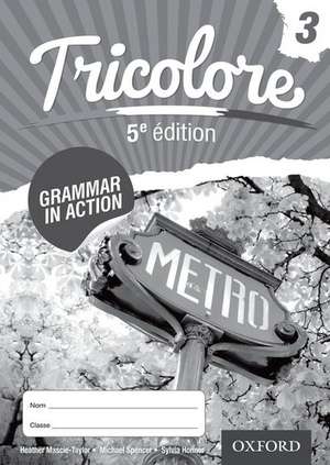 Tricolore Grammar in Action 3 (8 pack) de Heather Mascie-Taylor