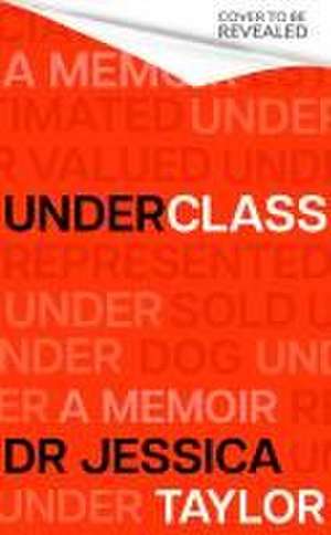 Underclass de Dr Jessica Taylor