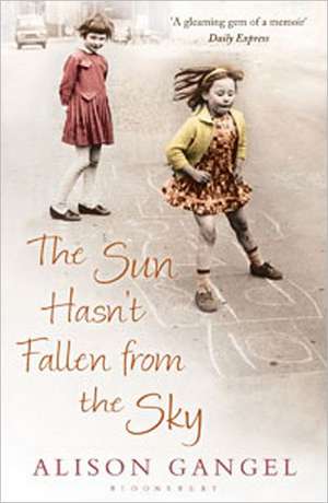 The Sun Hasn't Fallen From the Sky de Alison Gangel