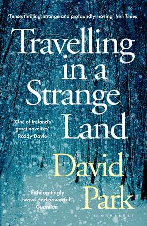 Travelling in a Strange Land: Winner of the Kerry Group Irish Novel of the Year de David Park