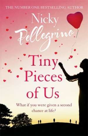 Tiny Pieces of Us de Nicky Pellegrino